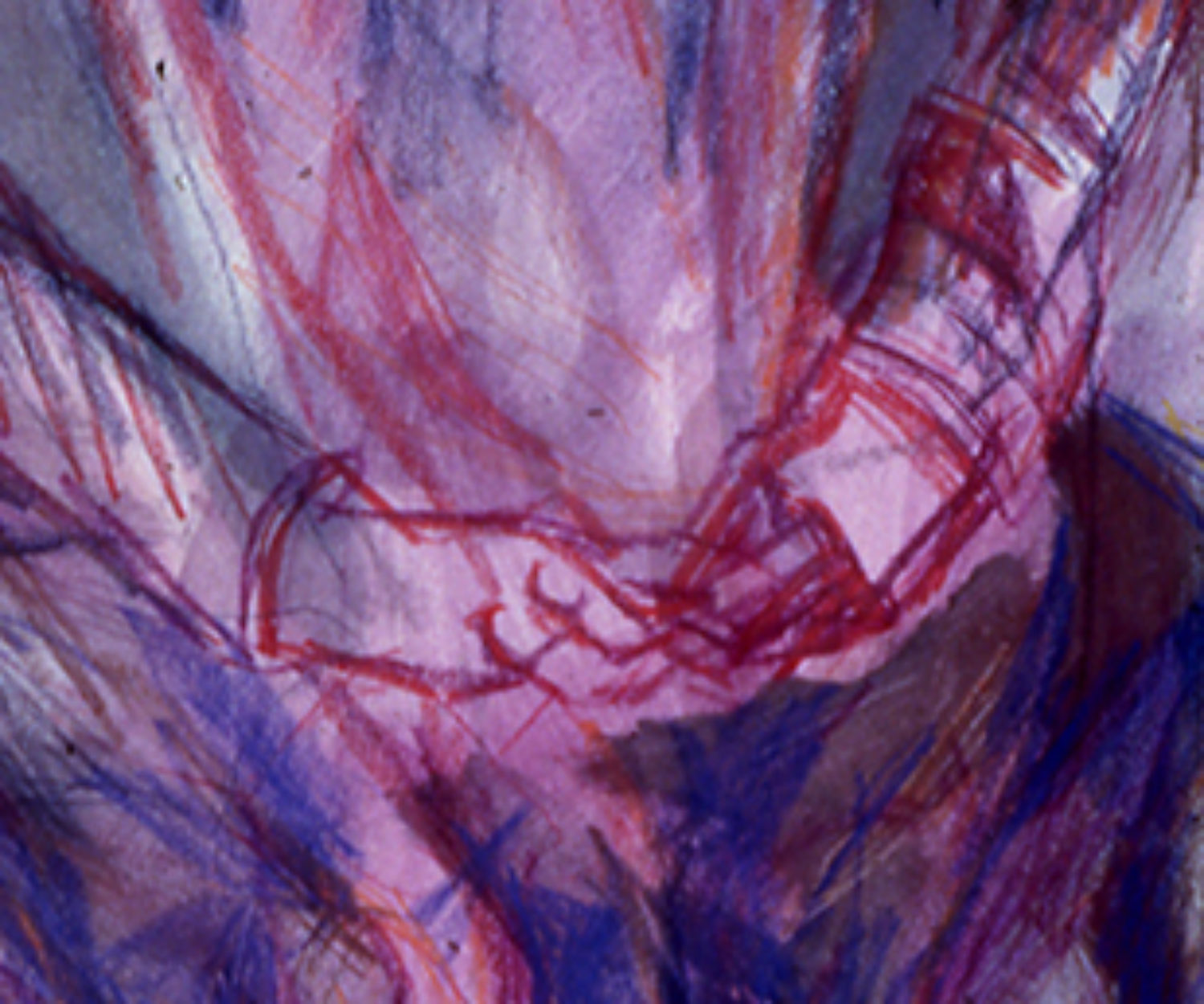 Woman with a Shawl