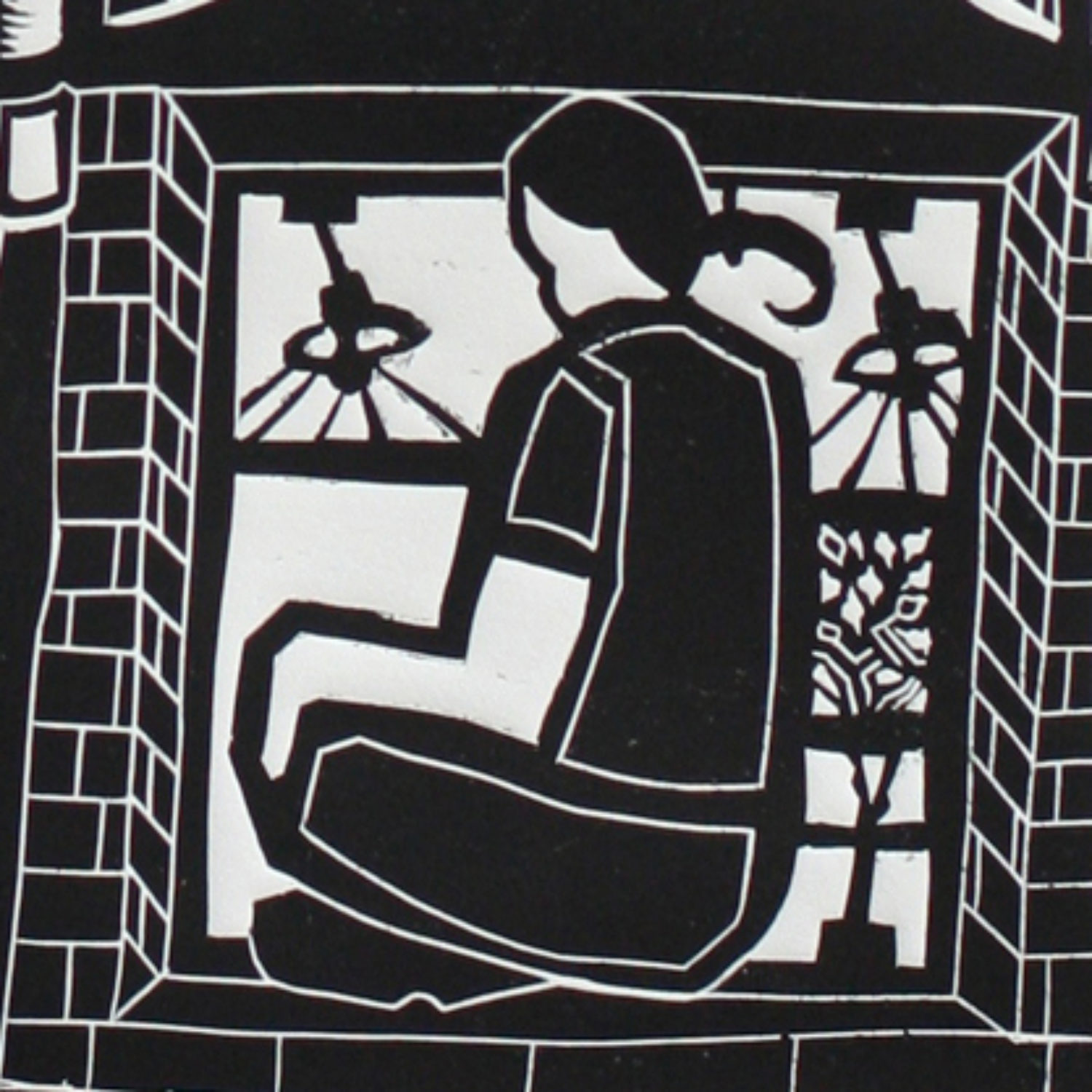 rocky mountain Aspen tree I call home 