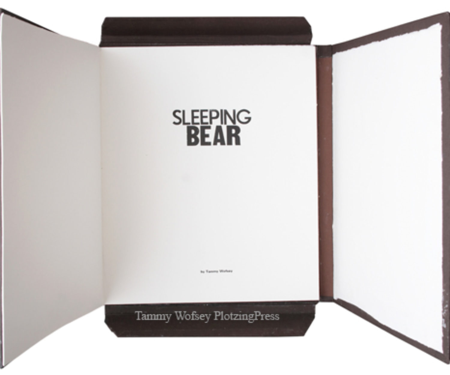 Sleeping Bear